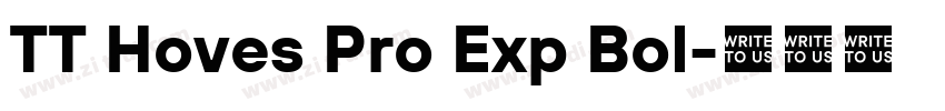 TT Hoves Pro Exp Bol字体转换 TT Hoves Pro Exp Bol字体转换